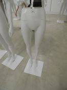 *Pair of Female Legs on Stand