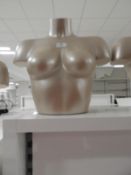 *Female Mannequin Bust