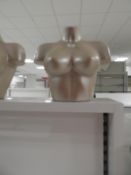 *Female Mannequin Bust