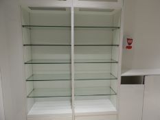 *Ten Plate Glass Shelves