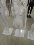 *Female Torso on Stand