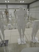 *Male Mannequin on Stand