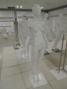 *Female Mannequin on Stand