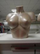 *Female Mannequin Bust