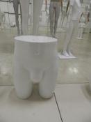 *Male Mannequin Bottom