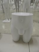 *Male Mannequin Bottom