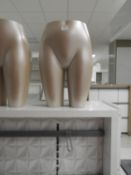 *Female Mannequin Bottom