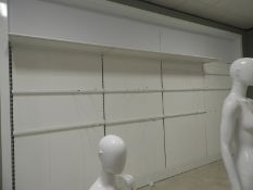 *Wall Mounted Display System with Hangers and Shel