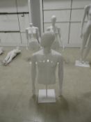 *Male Torso on Stand