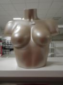 *Female Mannequin Bust