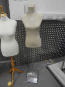 *Female Mannequin Torso on Stand