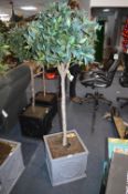 *Artificial Bay Tree in Grey Planter