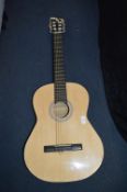 Elevation Acoustic Guitar