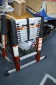 *Batavia Giraffe Telescopic Ladder