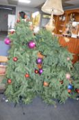 *Two Christmas Trees 170cm (AF)