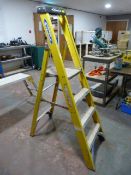 *Werner Three Tread Steps