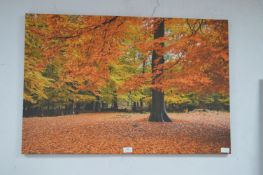 Autumnal Woodland Scene Canvas Wall Print