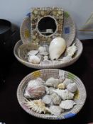Three Baskets of Shells