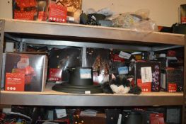 *Inflatable Santa, String Lights, Festoon Lights,