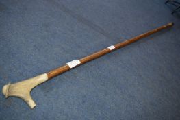 Wooden Walking Stick