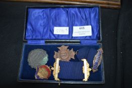Vintage Medals and Badges