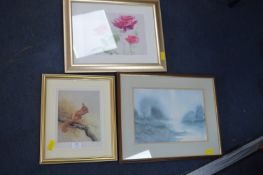 Signed Frame Squirrel Print by John Naylor plus Fl