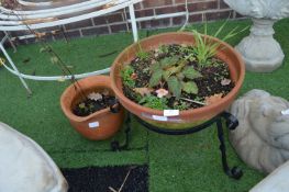 Terracotta Planter on Metal Stand plus Small Plant