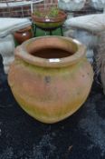 Large Decorative Terracotta Urn Planter
