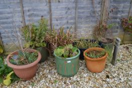 Seven Assorted Plant Pots