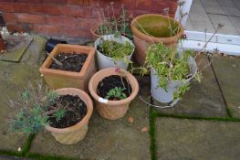 Seven Assorted Small Plant Pots