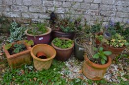 Eight Assorted Plant Pots