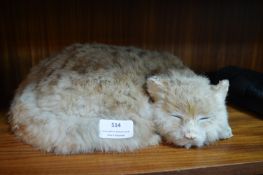 Freddie the Shipwrecked Cat