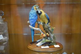 Two Country Artist Macaws