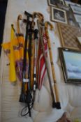 Walking Sticks, Umbrellas, and a Hiking Pole