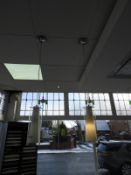 *Pair of Ceiling Pendant Lights with Clear and Frosted Glass Shades