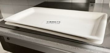 2 x VILLEROY & BOCH Premium Porcelain Fine Dining Restaurant Rectangular Plates - Dimensions:
