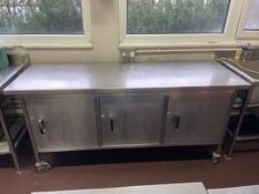 Stainless Steel Mobile Prep Station