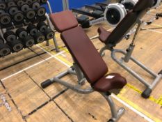 Technogym weights bench