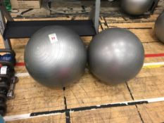 Gym balls x2