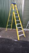 Clow GIFS10 step ladder