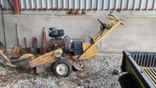 Stump Grind Rayco Mini Workforce Stump grinder