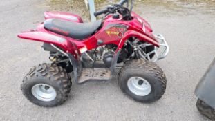 Childs quad bike