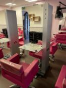 Hairdressing Dual Station