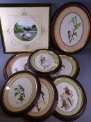 F J C? WILDE 1989 watercolours - quality ornithological themed, two oval, 26 x 19cms and 19 x 28cms,