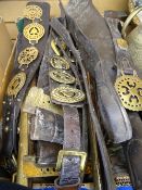 SHIRE HORSE LEATHERS, straps of horse brasses, brass and oak hames, a good box full