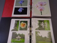 BY DIRECTION OF MRS BARBARA MIDDLETON, OLD COLWYN - COLOUR PHOTOGRAPHS TAKEN BY HER HUSBAND MR