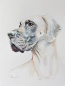 SANDY LIPMAN The winner of this lot will have a commissioned painting of a subject of their choice