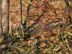 DAVID GOULD mixed media Entitled 'Woods near Edwardsville' 78cm x 63cm dark pine frame