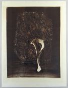 HARRY HOLLAND monoprint - abstract, signed, 72 x 55cms Provenance: private collection, consigned via