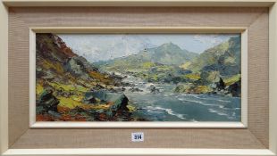 CHARLES WYATT WARREN oil on board - entitled verso 'River Llugwy', signed, 23 x 53cms Provenance: